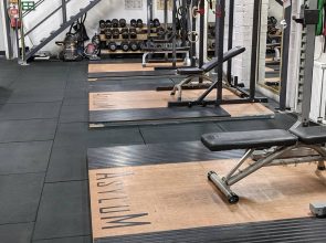 Asylum equipment with Squat stands, benches and plaftorms