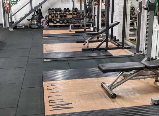Asylum equipment with Squat stands, benches and plaftorms